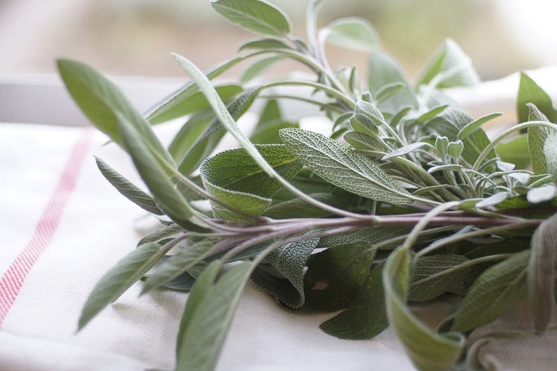 Hanging Herb Garden